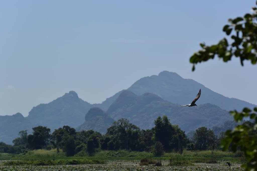 Sigiriya Village Home Stay Екстериор снимка